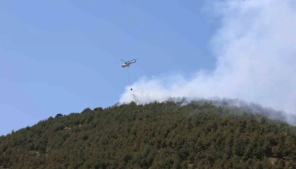 Kahramanmaraşta orman yangınlarından biri kontrol altına alındı, diğeri sürüyor