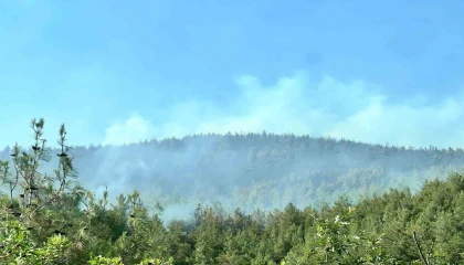 Kahramanmaraştaki ikinci orman yangını da kontrol altında