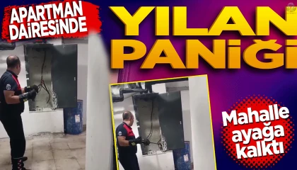 Kazan dairesinde yılan paniği