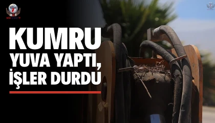 Kepçe Operatöründen Kumruya Şefkat