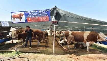 Kepezde 9 noktada kurban kesim alanı