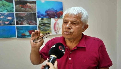 Köpek balıklarına yapılan gösteri işkencesine uzman uyarısı: Ekosistemi bozuyor, korku yayıyor 