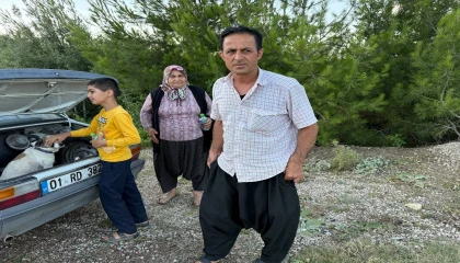 Kozandaki orman yangını: Kimi hayvanları için, kimi de canlı yayın için hayatını tehlikeye attı