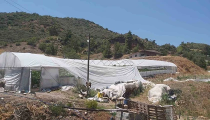 Kumlucada aniden başlayan hortum seralara zarar verdi