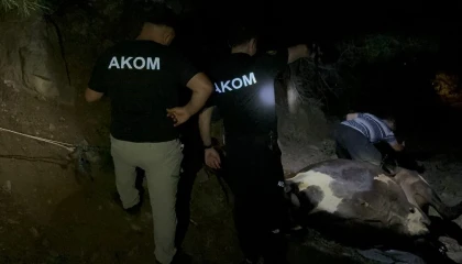 Kuyuda bulunan kayıp inek saatler süren çalışmayla kurtarıldı