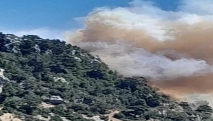 Mersin Bozyazıda orman yangınına ekipler müdahale ediyor