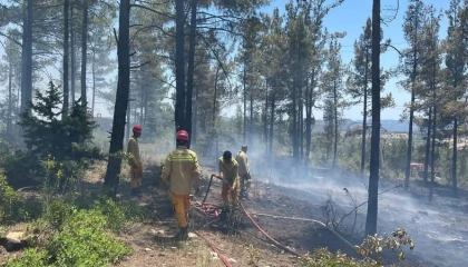 Mersin Gülnarda orman yangını söndürüldü