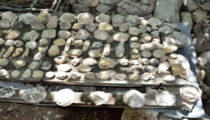 Mersin Mutta fosil araştırması