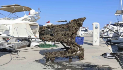 Mersinde denizden çıkarılan çöpler sahilde sergilendi: Alışveriş arabası bile var