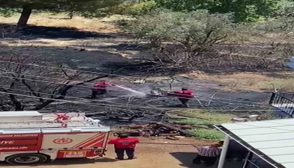 Mersinde kayısı bahçesinde yangın