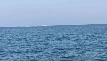 Mersinde köpekbalığı tedirginliği