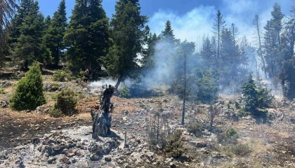 Mersinde orman yangını, ekipler müdahaleye başladı