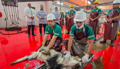 Mersinde şehitlerin anısına kurban kesildi