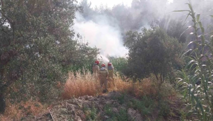 Mersinde tarım arazisinde çıkan yangın korkuttu