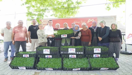 Mersinde tarım destekleri üreticiyi sevindiriyor