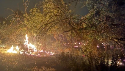 Mersinde üç noktada çıkan yangın kontrol altına alındı