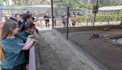 Mersindeki ‘Minikbüs Projesi çocuklara gezi ve öğrenme yolculuğu sunuyor