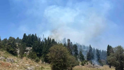 Mersindeki orman yangını söndürüldü
