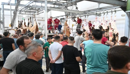 Mezbahada 250 büyükbaş kurban kesimi gerçekleştirildi