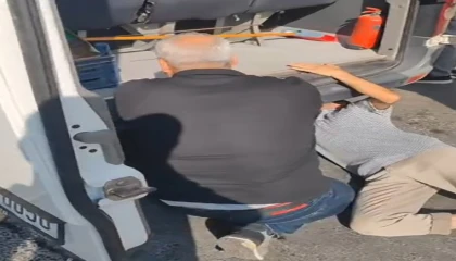 Minibüste yavru kedi kurtarma seferberliği