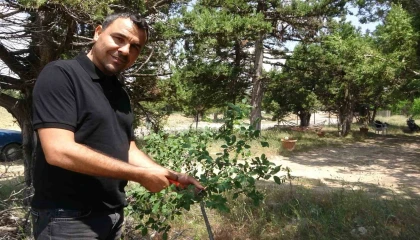 Ölmeden ölüm ilanı verildi, duyunca şok oldu