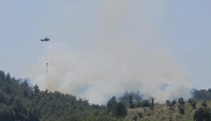 Osmaniyede çıkan orman yangını söndürüldü