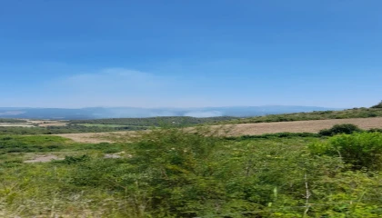 Osmaniyede orman yangını başladı