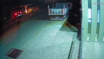 Otomobil refüjdeki ağaca çarptı, sürücü yaralandı