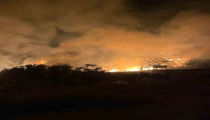 Samandağda evin bahçesinden alevler yükseldi