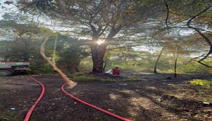 Serikte sabah saatlerinde çıkan orman yangını söndürüldü