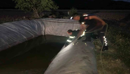 Su kuyusuna düşen sokak köpeği itfaiye ekiplerince kurtarıldı