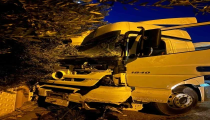 Tır sürücüsü uyudu, ortalık savaş alanına döndü: Önce üste geçide ardından da ağaç ile 2 araca çarptı