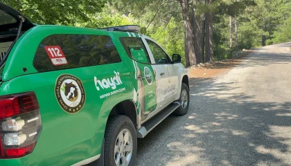 Yayla yolunda kaybolan yaşlı adam 300 kişilik ekiple aranıyor