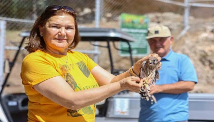 Yetişkinliğe erişen kerkenez yavruları doğal ortamlarına bırakıldı