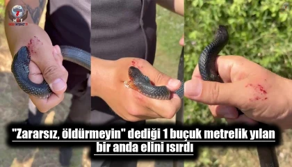 Zararsız, öldürmeyin dediği 1 buçuk metrelik yılan bir anda elini ısırdı