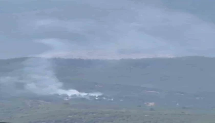 Adana Aladağda orman yangını çıktı