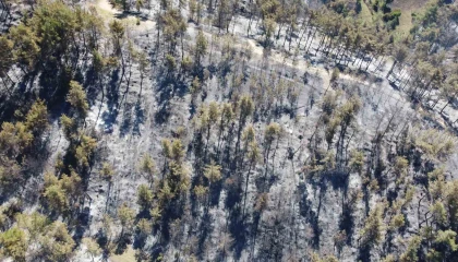 Adanada 14 saatte 250 hektar orman yandı, acı bilanço havadan görüntülendi