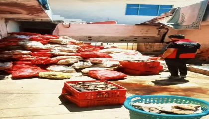 Adanada binlerce kilo paça ele geçirildi