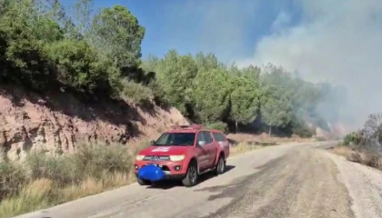 Adanada orman yangını