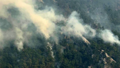 Adanadaki orman yangınlarına 3 tutuklama