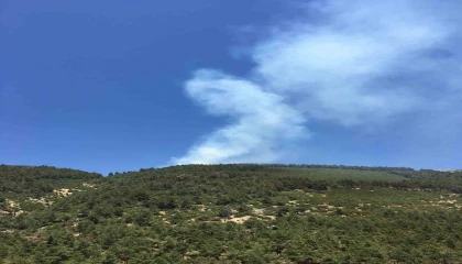 Ahır Dağında bahçe yangını