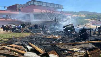 Ahırda yangın çıktı 30 hayvan telef oldu