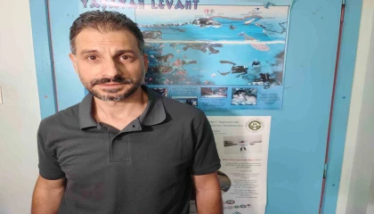 Akdenizde deniz suyu sıcaklığı arttı zehirli balıklar geldi