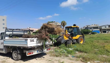 Akdenizde moloz ve yabani ot temizliği sürüyor