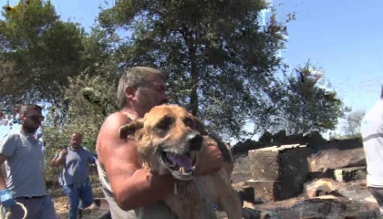 Aksuda yürek yakan yangında evler hasar gördü, hayvanlar telef oldu