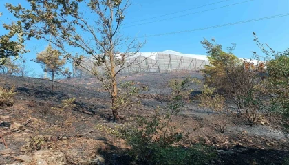 Alanyada makilik alanda çıkan yangın kısa sürede kontrol altına alındı