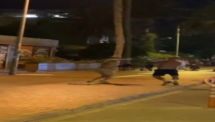 Alanyada Rus turistlerin yumruklu kavgası kamerada