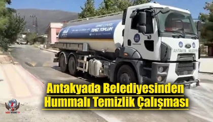Antakyada yangından etkilenen bölgelerde hummalı temizlik çalışması