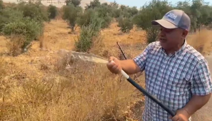 Antalyada alevlerin yaklaştığı mahallede vatandaşlar hortumlarla nöbette