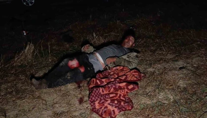 Antalyada aslanın kaçtığı hayvanat bahçesinin denetimi sürüyor